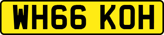 WH66KOH