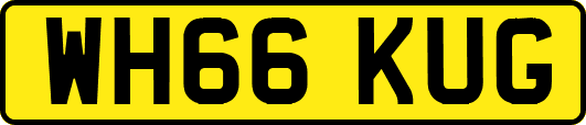 WH66KUG