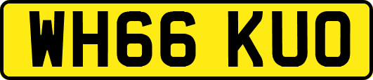 WH66KUO
