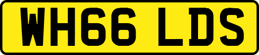WH66LDS