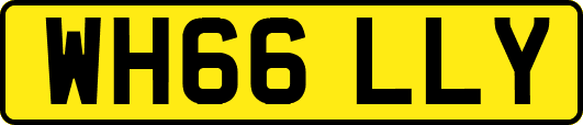 WH66LLY
