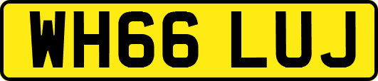 WH66LUJ