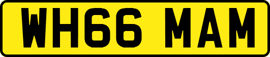 WH66MAM