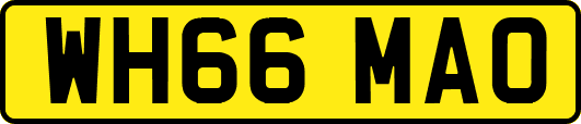 WH66MAO