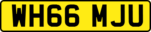 WH66MJU