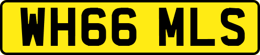 WH66MLS