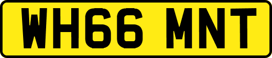 WH66MNT