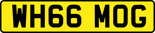 WH66MOG