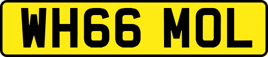 WH66MOL