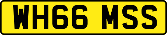 WH66MSS