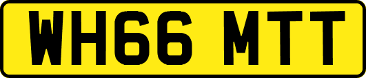 WH66MTT