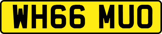 WH66MUO