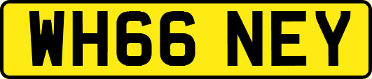 WH66NEY