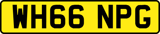 WH66NPG