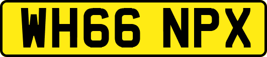 WH66NPX