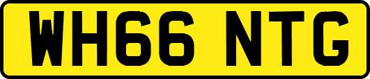 WH66NTG