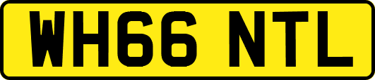 WH66NTL