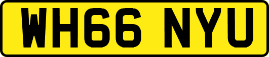WH66NYU