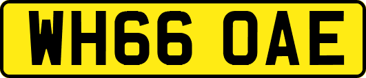 WH66OAE