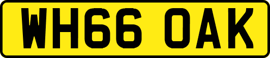 WH66OAK