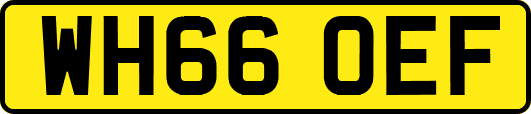 WH66OEF