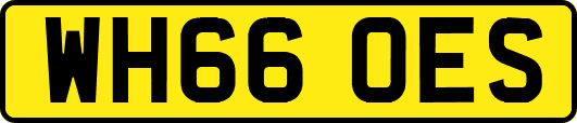 WH66OES