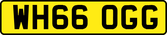 WH66OGG