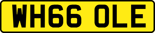 WH66OLE