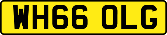 WH66OLG