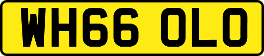 WH66OLO