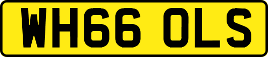 WH66OLS