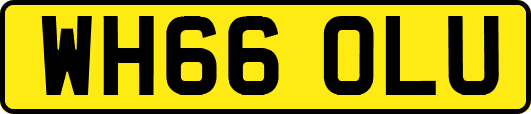 WH66OLU