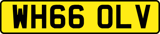 WH66OLV