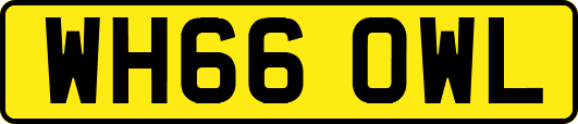 WH66OWL