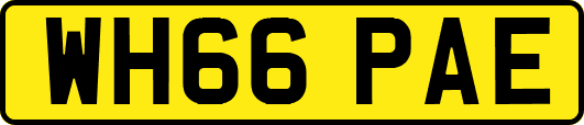 WH66PAE