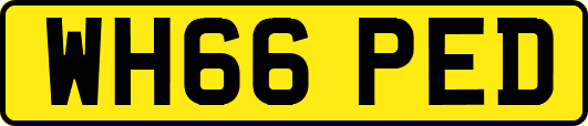 WH66PED
