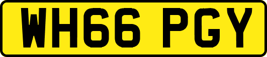 WH66PGY