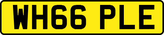 WH66PLE