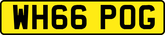 WH66POG