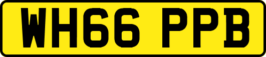 WH66PPB
