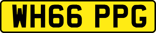 WH66PPG