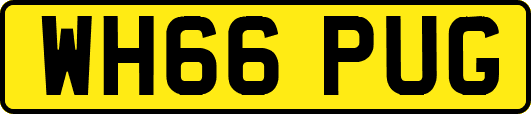 WH66PUG