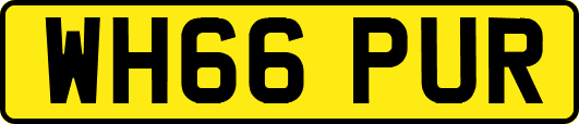 WH66PUR