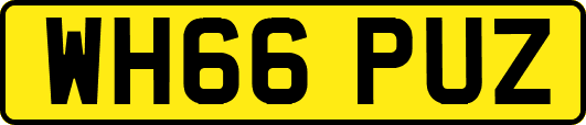 WH66PUZ