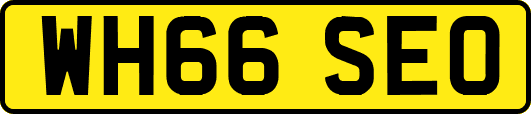 WH66SEO