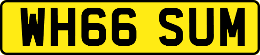 WH66SUM