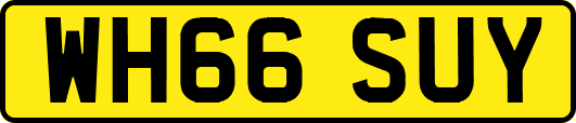 WH66SUY