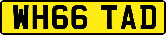 WH66TAD