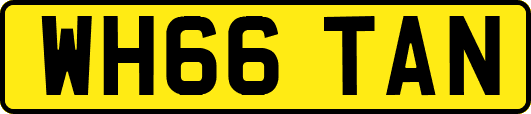 WH66TAN