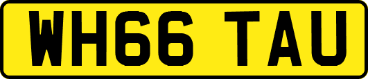 WH66TAU